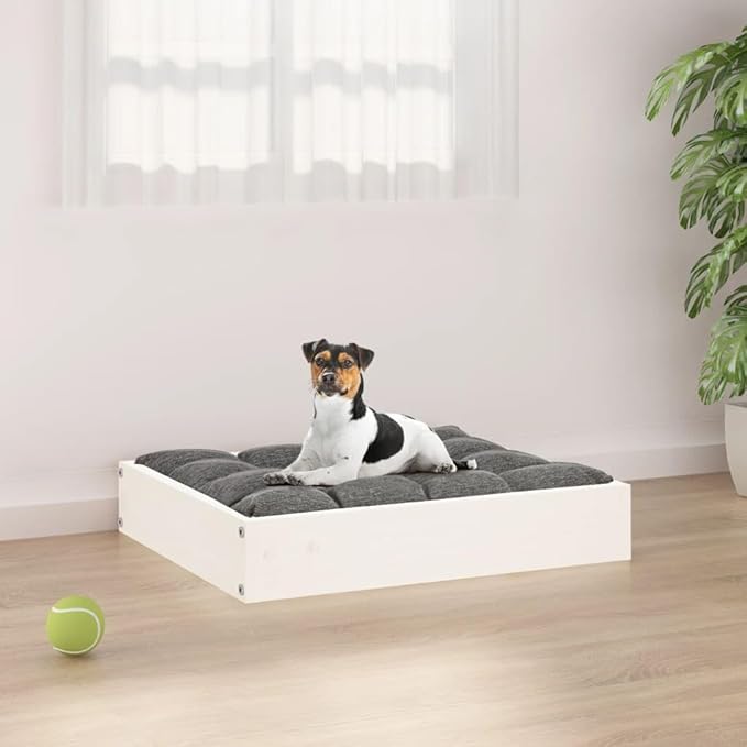 Small Dog Bed, Elevated Rectangular Pet Bed for Small Breeds, Solid Pine Wood Dog Sleeping Cot, Minimalist Indoor Pet Furniture, Durable White Wood Bed Frame