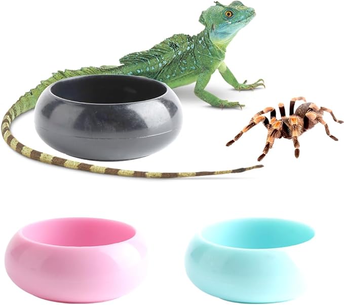 3 Pcs Worm Dish Reptile Food Bowl Tarantula Water Bowl for Spider Tarantula Gecko Lizard Small Reptile