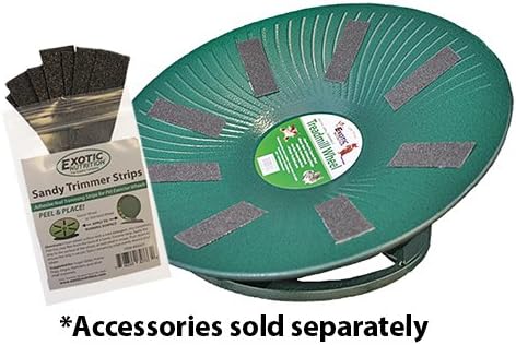 Treadmill Wheel 11" Black - All-Metal Exercise Wheel - Chinchillas, Prairie Dogs, Rats, Hedgehogs, Sugar Gliders, Squirrels, Degus, Hamsters & Other Small Animals - Smooth, Fast, Silent, Durable