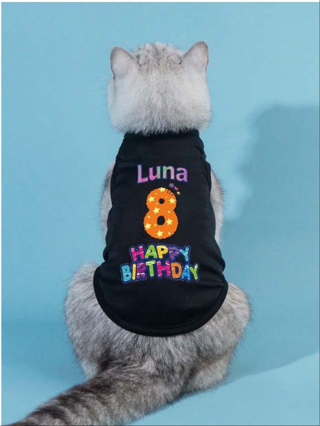 Custom Dog Birthday Shirt,Personalized Pet Apparel Print with Name Age Number,Pet Birthday Outfit,Lightweight Breathable Cotton Vest for Small Medium Large Dogs Cat (Grey, 3X-Large)