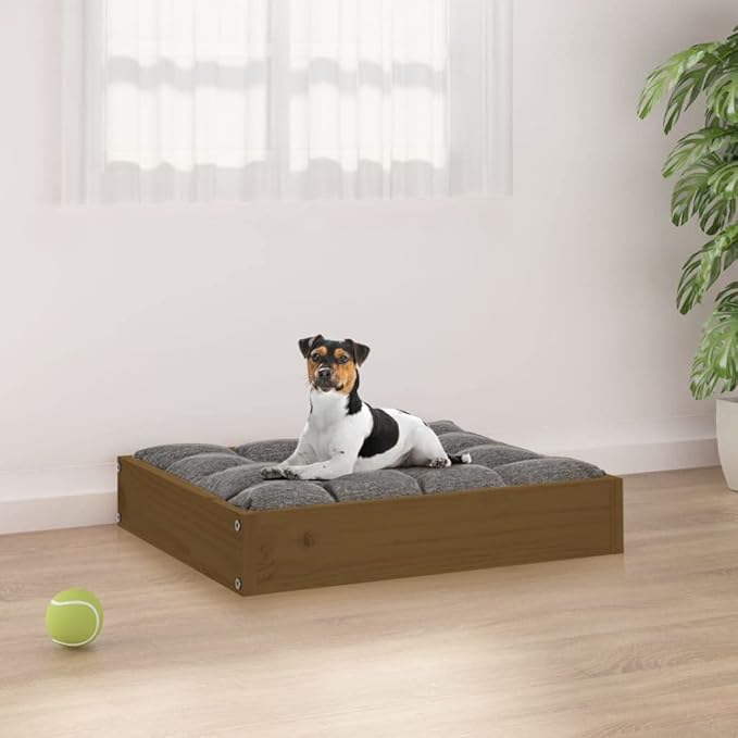 Solid Pine Wood Dog Bed Honey Brown 20.3 x 17.3 x 3.5 Inches Cozy Resting Space for Small Breed Pets Durable Frame Minimalist Design Indoor Use