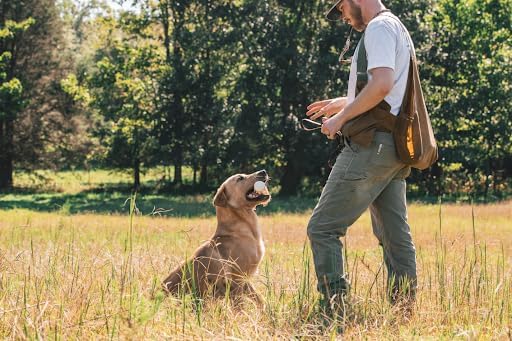 ACME Alpha 211.5 Professional Dog Training Whistle with Enhanced Ergonomic Grip. BPA-Free Plastic. 110 dBA. Long Range. Standardized Frequency. Weatherproof. Made in the UK (Black on Day Glow Green)