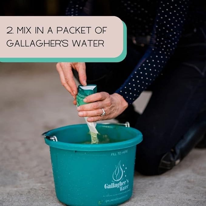 Gallagher's Water 120 Pack All-Natural Patented Equine Hydration Treat - Enhancement Powder Mix Horse Drink Treat to Help Encourage to Drink Water - Made with All Natural Ingredients, FEI Compliant
