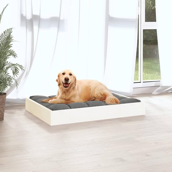 Wooden Dog Bed Frame, Modern Minimalist Small Pet Sleeping Cot, Solid Pine Wood Elevated Raised Bed for Indoor Use, White, 28.1 x 21.3 inches