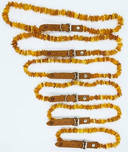 Baltic Amber Dog & Cat Collar - Adjustable Leather Strap with Raw Knotted Amber Beads (25-30cm)