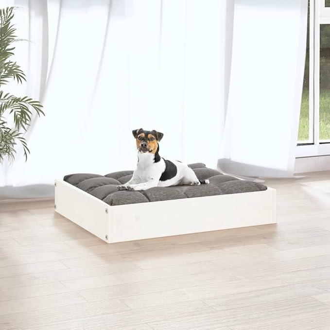 Small Dog Bed, Solid Pine Wood Elevated Pet Bed Frame, Rectangular Minimalist Raised Bed for Small Dogs, Indoor Pet Furniture, White