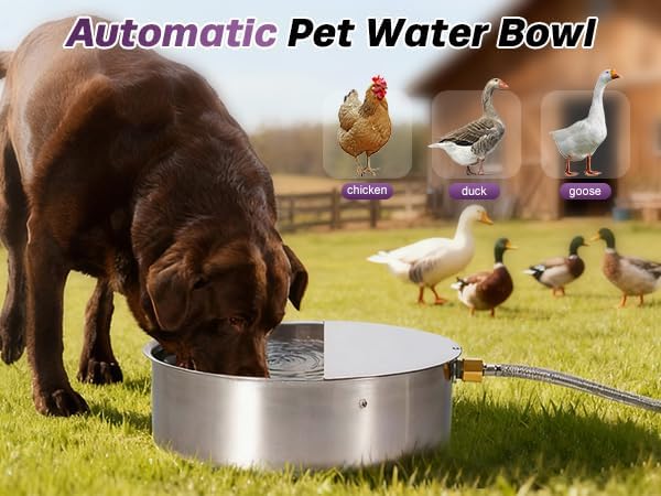 6L Automatic Dog Water Bowl Dispenser Outdoor Stainless Steel Pet Waterer Self Filling Waterer for Large Dog Cat Chicken Duck Goat