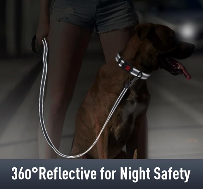 Airtag Dog Collar with AirTag Holder for Large Dogs, Reflective, Soft Padded & Safety Locking Buckle, Nylon Pet Collars Adjustable for All Breeds, Grey,L