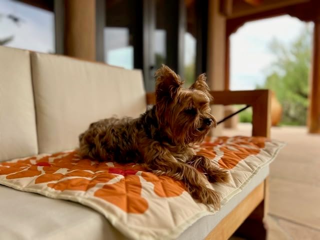 Waterproof Blanket, 29" x 34” - Seat Cover for Dogs and Pets. Ideal for Small and Medium Pet Crate Blankets, Settle mat, Diaper Changing and Playmat for Babies