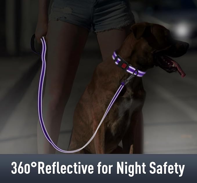 Airtag Dog Collar with AirTag Holder for Puppy Small Dogs, Reflective, Soft Padded & Safety Locking Buckle, Nylon Pet Collars Adjustable for All Breeds, Purple,XS