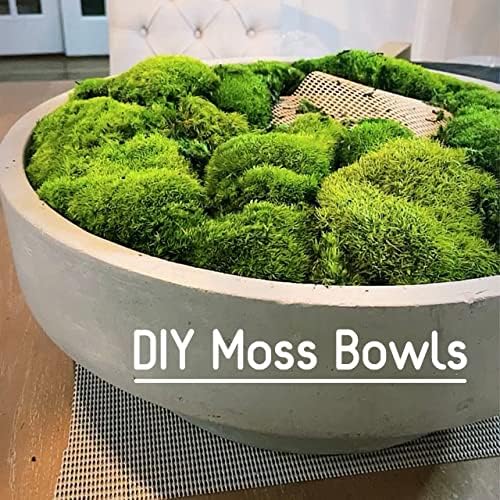 Preserved Pole Moss Pillow Bun Cushion Natural Green Decorative Real Natural Green DIY Kit Terrariums Gardenning Art Wall Decor Florist Decor Easter Table Decor Wedding (3.0 sq.ft., Green-B)
