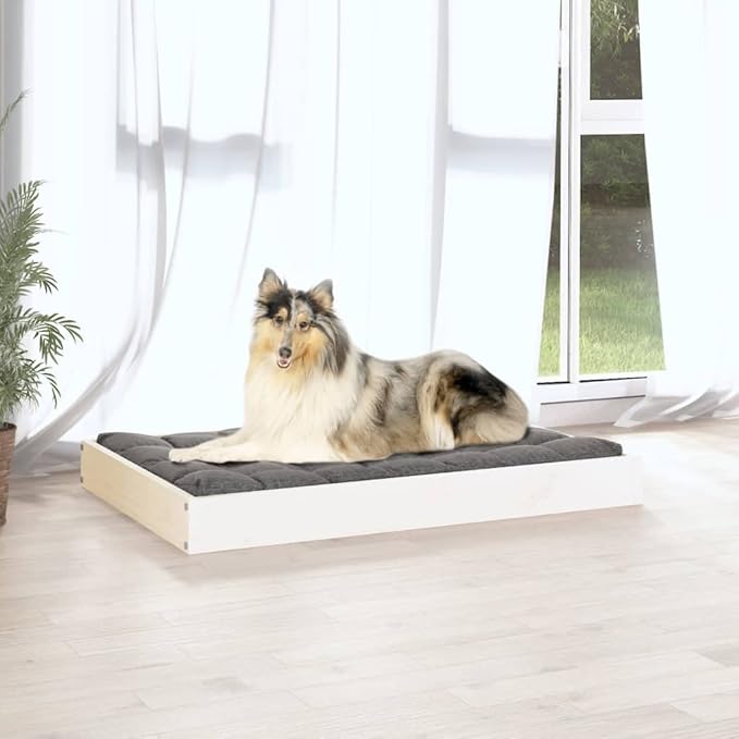 Solid Pine Wood Minimalistic Dog Bed for Medium Breeds, Modern Elegant Design with Sturdy Construction and Pet Friendly Material, Easy to Clean Surface, Perfect for Living