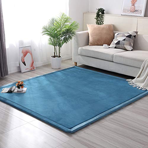 Loartee Coral Velvet Crawling Rug (6'8"x9'8", Blue) for Toddler Children Play Area Rugs Yoga Mat Exercise Pads Carpet