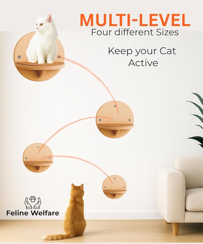 Cat Wall Shelves - Round Floating Cat Wall Steps with Scratch Pads, up to 20Lbs. Saving-Space Decorative Wall-Mounted Cat Furniture for Climbing, Playing & Resting - Solid Natural Wood by INSTINTO