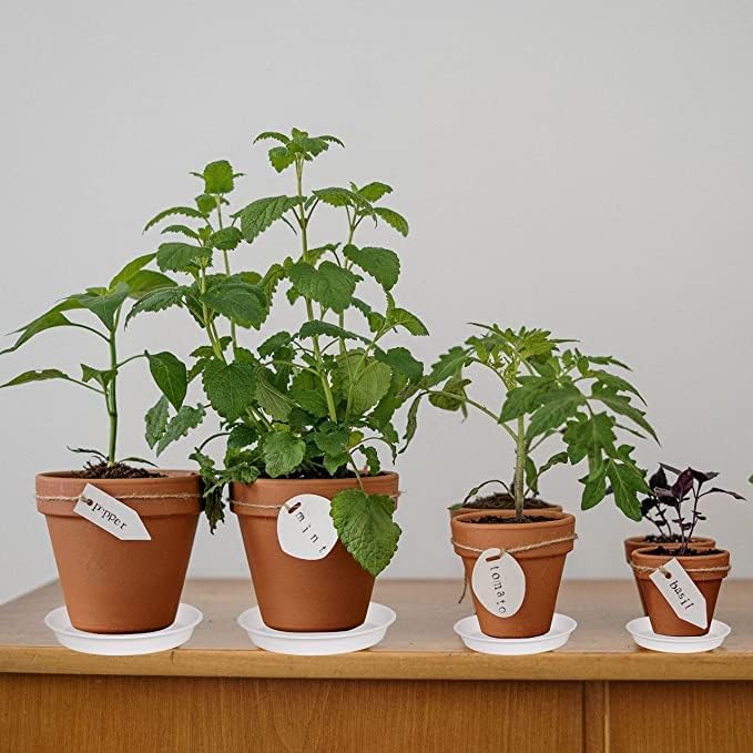 2 Pack of 8 inch Plant Saucer Clear, Heavy Duty Plastic Plant Water Tray 8 inch Round, Flower Plant Saucers for Indoors No Holes, Plant Dishes Saucer for Planter 7"/8" (8", White)