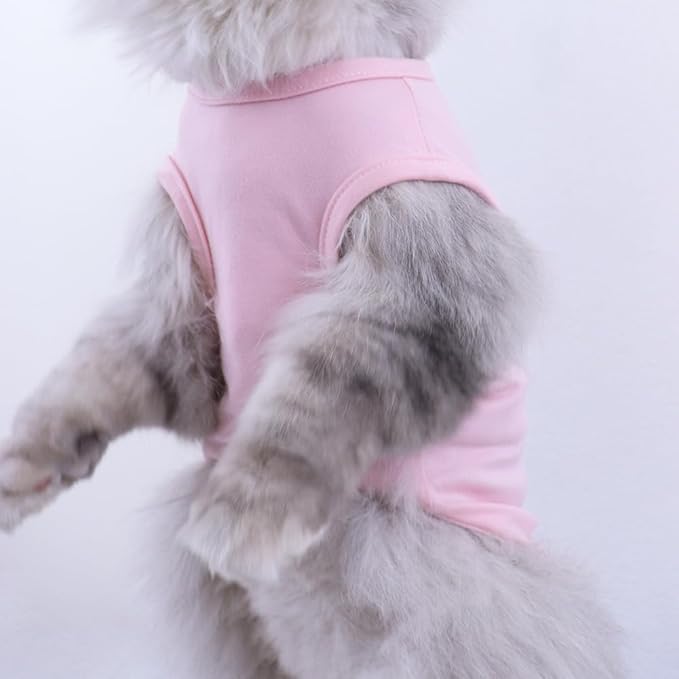 Custom Dog Birthday Shirt,Personalized Pet Apparel Print with Name Age Number,Pet Birthday Outfit,Lightweight Breathable Cotton Vest for Small Medium Large Dogs Cat (Grey, 6X-Large)