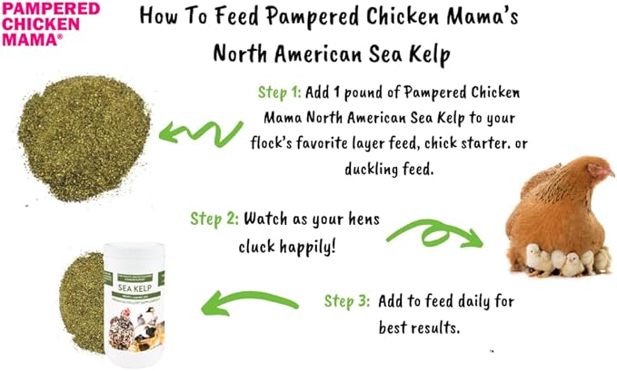 Kelp for Chickens & Duck Feed (5 Pound): Chicken Vitamins | Chicken Supplements | Vitamins for Chickens | Pampered Chicken Mama