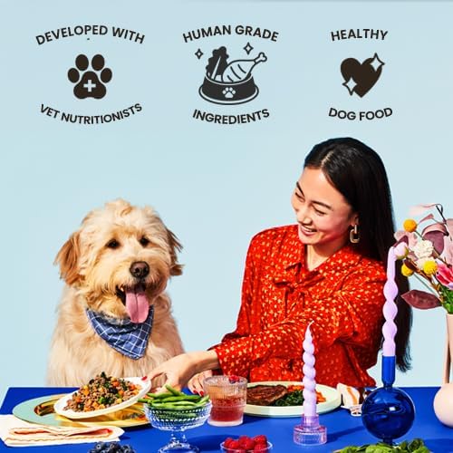 The Pets Table Human-Grade Chicken Casserole Fresh Dog Food, Dog Food Topper or Complete Meal, 6 Count of 16-oz Pouches, 5.9lbs