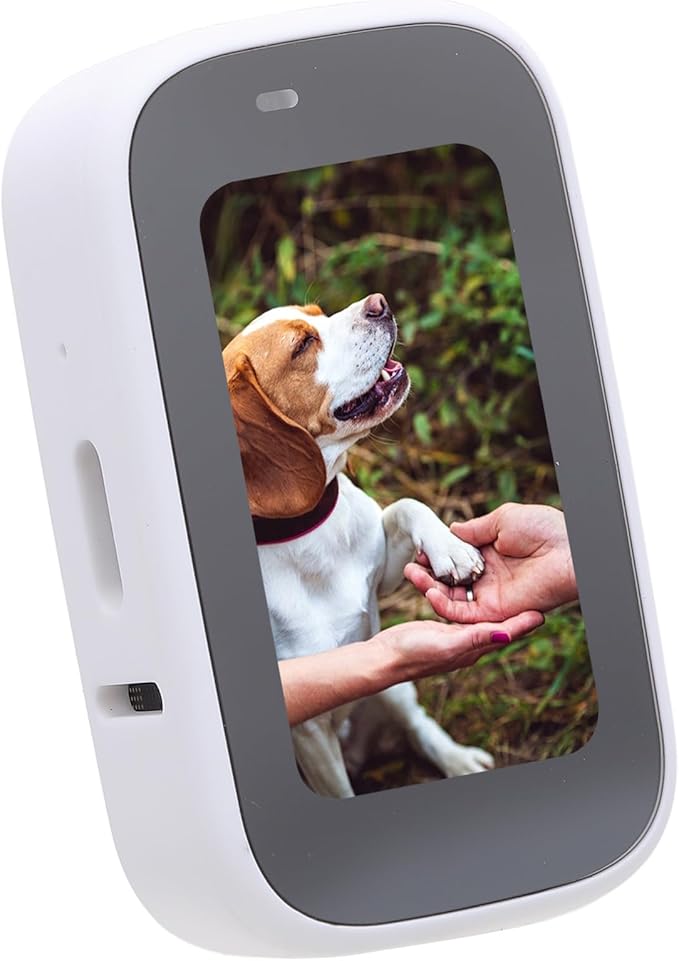 Pet Body Worn Camera, HD Resolution Wearable Body Cam for Dogs and Cats, Water Pet Action Camera with Lightweight Design for Outdoor Travel and Daily Adventures (White)
