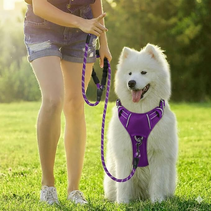 BARKBAY Dog Harness No Pull Oxford with ID Tag Pocket - Heavy Duty, Reflective, Easy Control for Large Dogs(Purple Oxford,M)