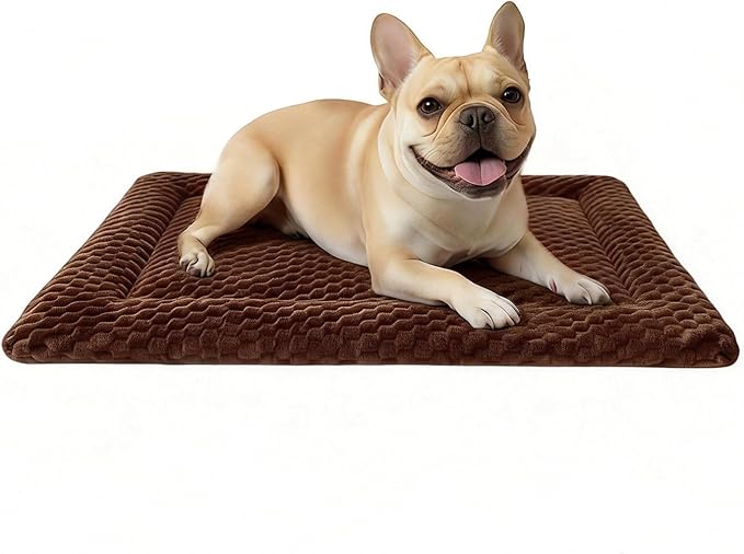 Dog Bed Mat, Dual-Sided Dog Crate Bed Mat - Ultra Soft & Machine Washable Kennel Pad for Small Dogs, All-Season Comfort Pet Bed for Crates, Travel, and Home, Brown, 24 x 16 Inch