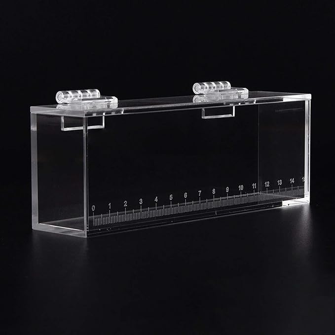 Gazechimp Fishing Photo Tank Fish Viewing Box Acrylic Hatching Incubator Clear Micro Landscape Fish Tank Fish Breeder Isolation Breeder Box with Scale, L