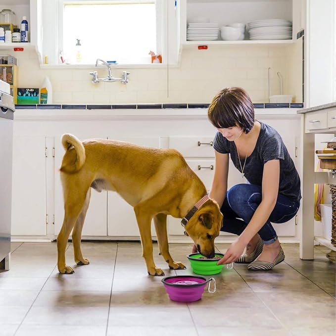 Kytely Large Collapsible Dog Bowls 2 Pack, 34oz Foldable Dog Travel Bowl, Portable Pet Water Food Bowl with Clasp, Pet Cat Feeding Cup Dish for Traveling, Walking, Hiking (Green+Purple)