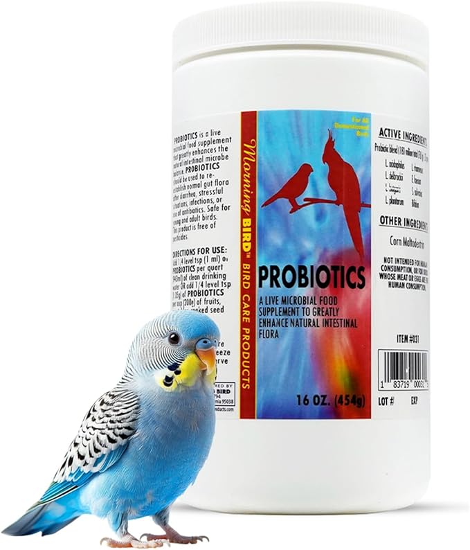 Morning Bird Probiotics for Birds 16 oz – Digestive Health Supplement Supporting Gut Balance, Nutrient Absorption & Immune Support – Easy Mix Powder Supplement for All Bird Species