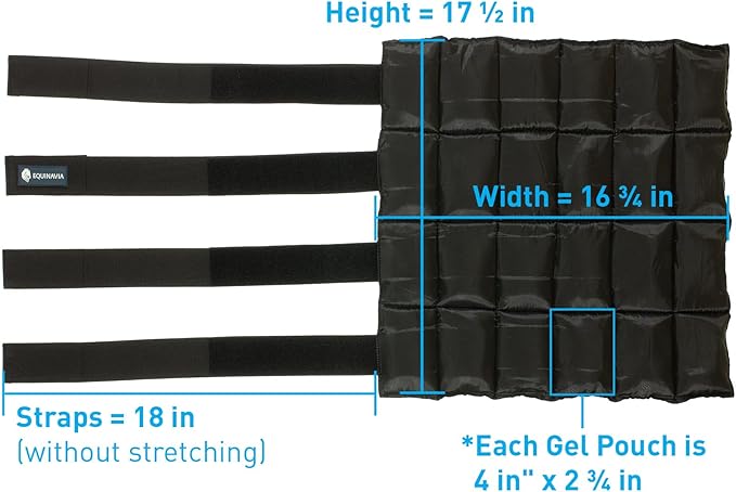 Equinavia Cool Relief Therapy Ice Boots Leg Wraps Pair for Horses, Gel Pack with Adjustable Straps | 16.5" x 15.5" with Storage Bag - Royal Blue - Pair - One Size
