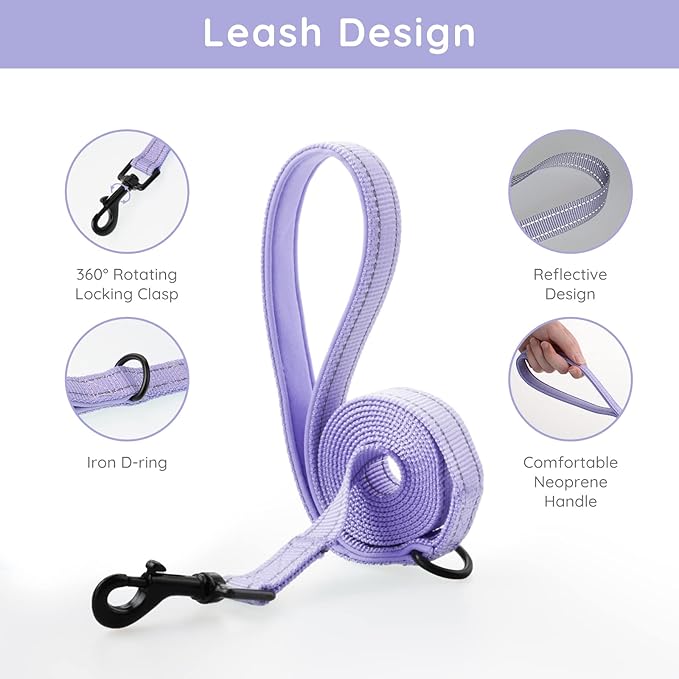 BELLA & PAL Step in Vest Harness for Small and Medium Dogs, No Pull Small Dogs Harness with Leash Set, Comfortable Air Mesh Dog Vest Harness with Reflective Strip (Lavender, M)