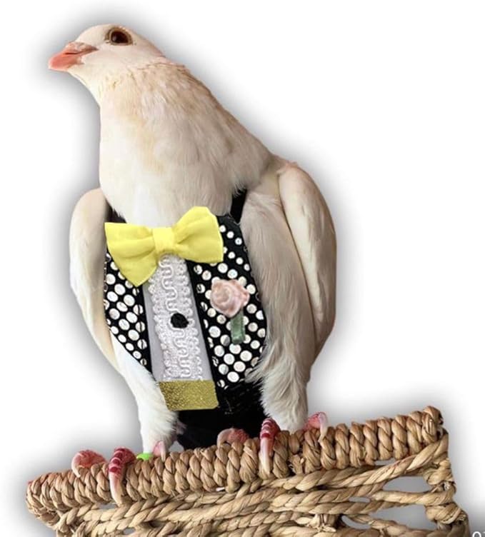 Bev's Bird Boutique Regular Flyper Adjustable Bird Diaper | Reusable, Washable Cloth | Comfort Fit for Parrot, Cockatiels, & Other Small Birds | Fashionable Avian Accessories, Retro Tux, Size 7.5