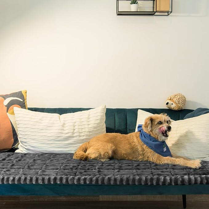 pawstrip Pet Couch Covers for Sofa Washable Dog Couch Cover Protector Anti-Slip Dog Blanket for Couches Fuzzy Couch Cushion Covers Soft Pet Sofa Cover for Furniture Plush Dog Couch Mat