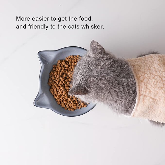 Nihow Elevated Cat/Dog Bowls: 6.25 Inch Ceramic Raised Cat Food & Water Bowl Set for Protecting Pet's Spine - Feeding & Watering Supplies for Cat/Small Size Dog - Elegant Gray (6.8 OZ /1 PC)