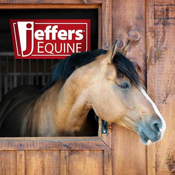 Jeffers Equine Antibacterial & Antifungal Medicated Horse Shampoo 16 Oz – Gentle Coconut Oil Based Grooming Shampoo for Horses, Daily Bathing, Show Prep, Trail, Stable, Coat & Skin Care