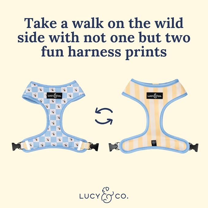 Lucy & Co. Bumbling Around Reversible Dog Harness, Adjustable Comfort Fit with Dual Leash Attachments, Medium