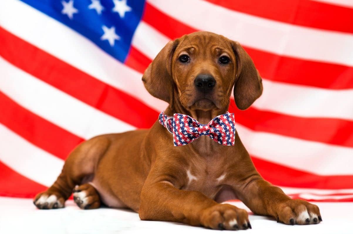 Lionet Paws Patriotic Dog Collar with Bowtie, 4th of July, Soft and Comfortable, Adjustable Collar for X-Large Dogs, Neck 16-26 inches