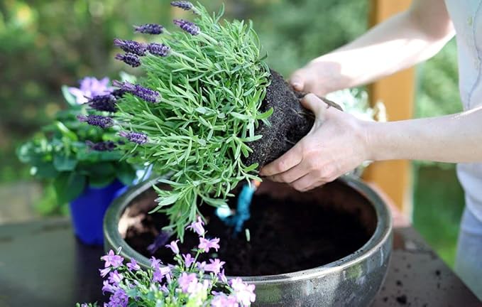 Gardenera Organic Moisture Control Potting Mix - Absorbs 33% More Water Than Basic Potting Soil - 10 Quart