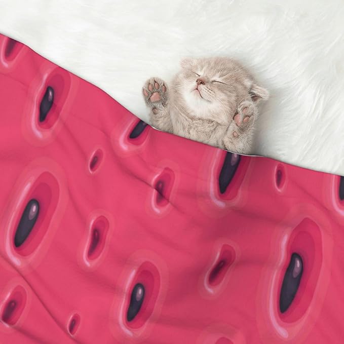 Dog and Cat Blanket in One, Pink Watermelon, Double Sided Plush Throw with Raised Dot Pattern on One Side and Flat Velvet on Other for Variety