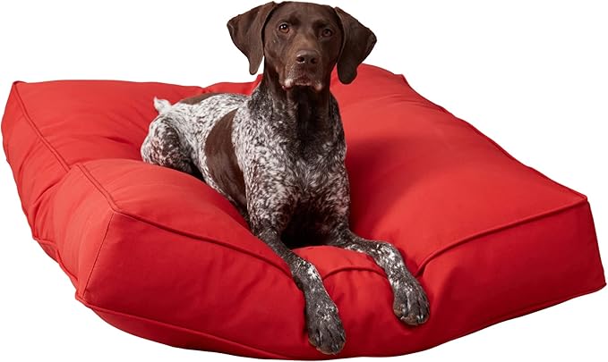Charlie Rectangle Indoor/Outdoor Pillow Style Dog Bed, Salsa, Large (36" x 48")