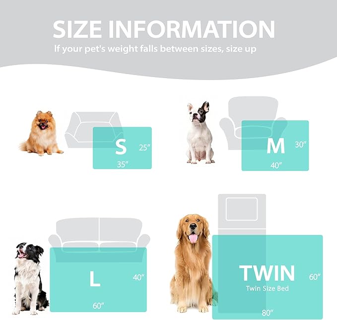 Dog Blankets Washable Pet Blanket - Fluffy Fuzzy Cat Puppy Blanket with Premium 300GSM 3D Fleece Bubble for Pet Kitten Doggy, Cream, 25x35IN