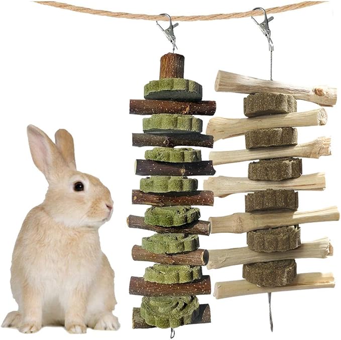 kathson Bunny Chew Toys for Teeth, Guinea Pig Wood Chews Chinchilla Apple Wood Bamboo Sticks Rabbit Organic Treats for Rodent Small Animals