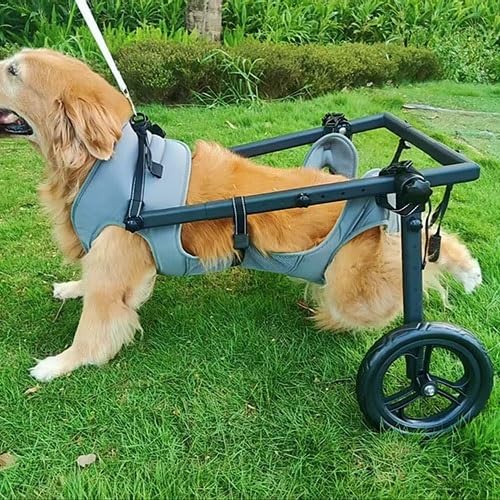 Pet Trolley Adjustable Hind Leg Disabled Dog Mobility Aid Light Rehabilitation Legs Wheelchair Walk Tools(X-Large)