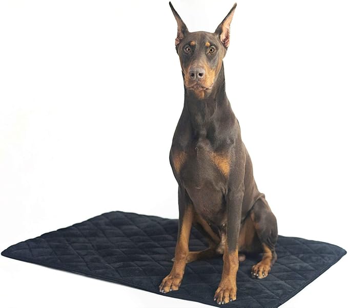 4Knines Extra Large Dog Crate Mat – Waterproof, Non-Slip, Machine Washable Crate Mat – Soft, Durable Kennel Mat for Dogs – Pet Bed for Crates, Travel or Home Use - Large (Black)