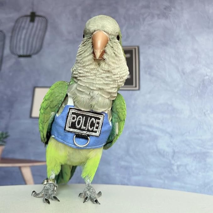 Bird Flight Harness Vest, Parrot Flight Suit with Leash, Bird Flying Clothes with Rope and Handle for Outdoor Activities (with Leash,Lorikeet)
