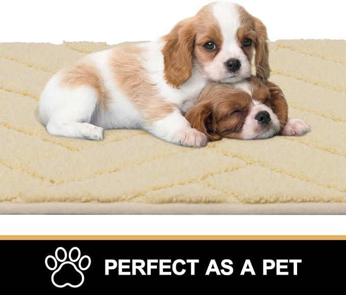 hicorfe Indoor Doormat, Front Back Door Mat Rubber Backing Non Slip Door Mats