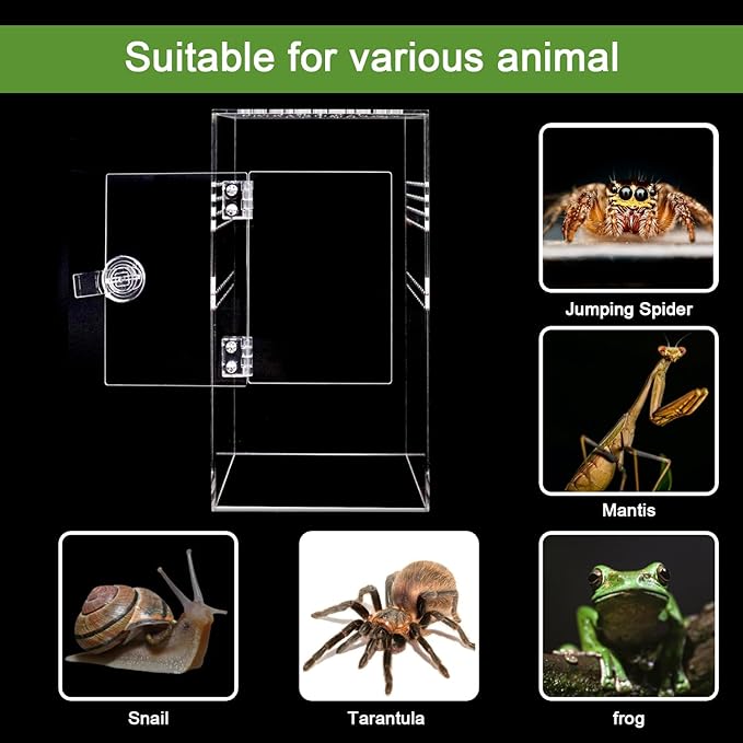Spider Terrarium Kit, Jumping Spider Enclosure with Hideout, Rope Bridge, Ledge Ladder, Micro Habitat Terrarium for Small Tree Dwelling Reptiles, Arboreal Tarantula Enclosure (6x6x12 Inches)