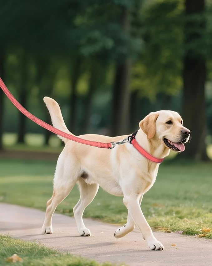 Joytale Large Dog Collar, Reflective and Adjustable Nylon Pet Collar with Quick-Release Buckle for Large Dogs, Pink, L