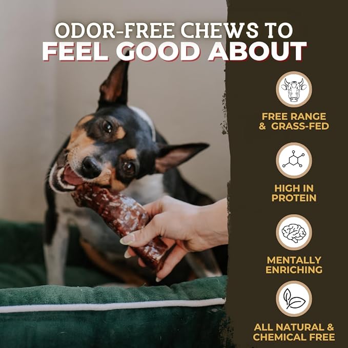 Bully Bunches 6 Inch Beef Trachea Wrapped in Jerky Dog Chews - Long Lasting Natural Dog Treats for Small & Medium Dogs, High Protein Crunchy Chew with Natural Collagen & Joint Support - 8 Pack
