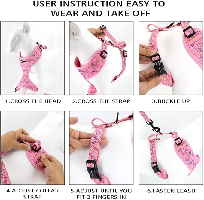 Adjustable Dog Harness and Leash Set for Girl Air Mesh Dog Vest Harness 5Ft Pet Training Leash with Soft Handle Pet Escape Proof for Small Medium Large Dogs (Dinosaur, M)