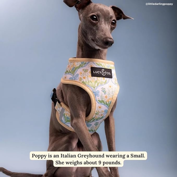 Lucy & Co. Sunshine and Daffodils Reversible Dog Harness, Adjustable Comfort Fit with Dual Leash Attachments, Large